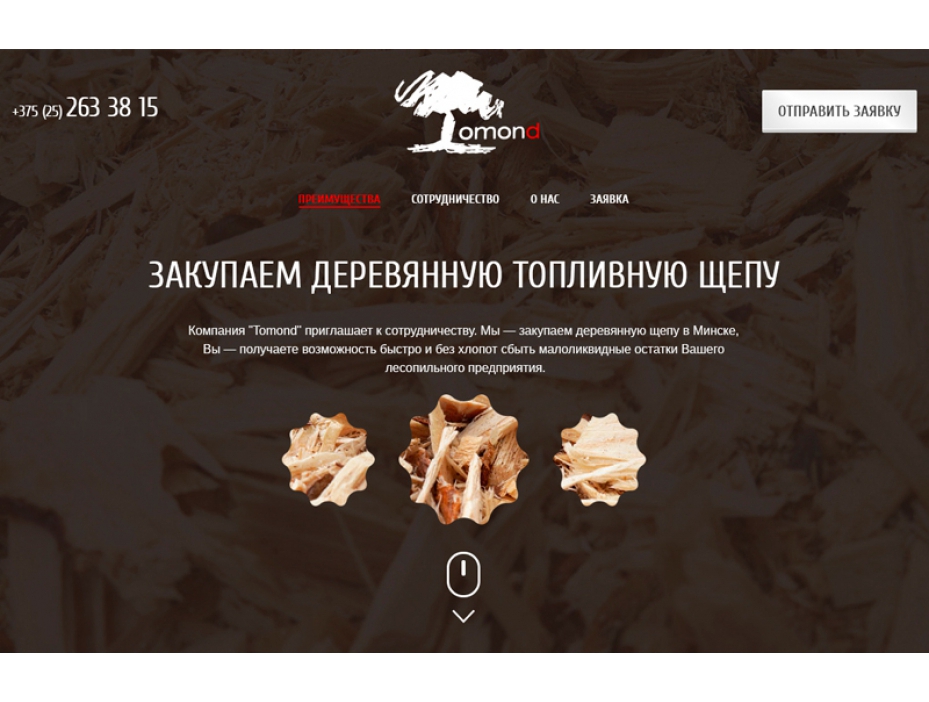 Сайт компании «Томонд»