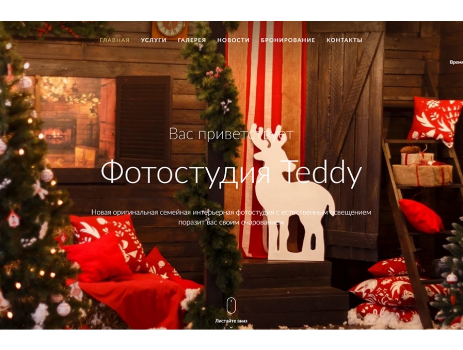 Сайт фотостудии «Teddy»